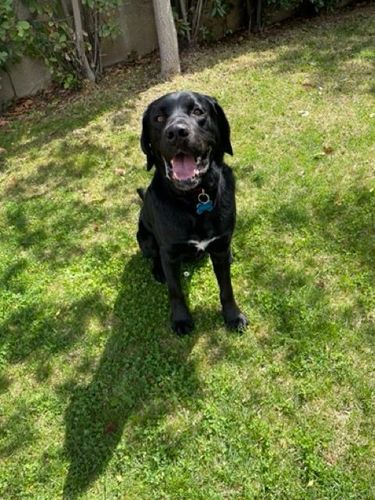 Sfondo sezione beneficenza